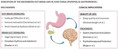 Editorial: Disruption of the Microbiota-Gut-Brain Axis in Functional Dyspepsia and Gastroparesis: Mechanisms and Clinical Implications